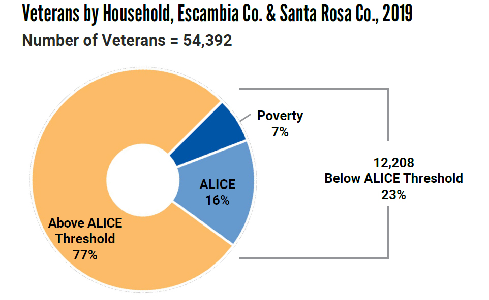 Graph showing ALICE Veterans data