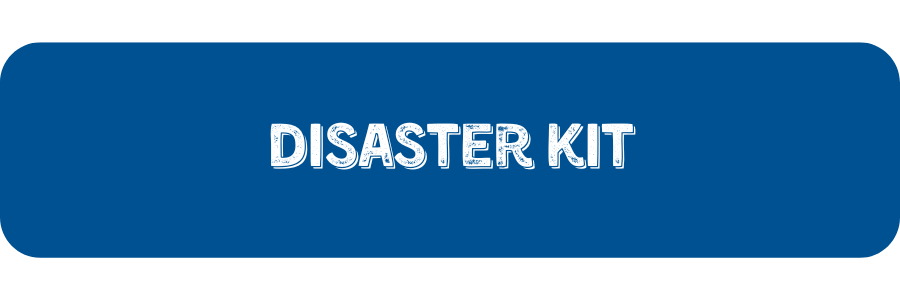 Disaster Kit Button