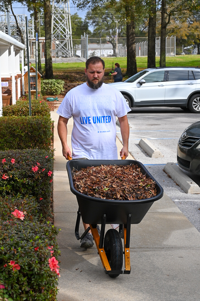 Volunteer pushes wheelbarrow